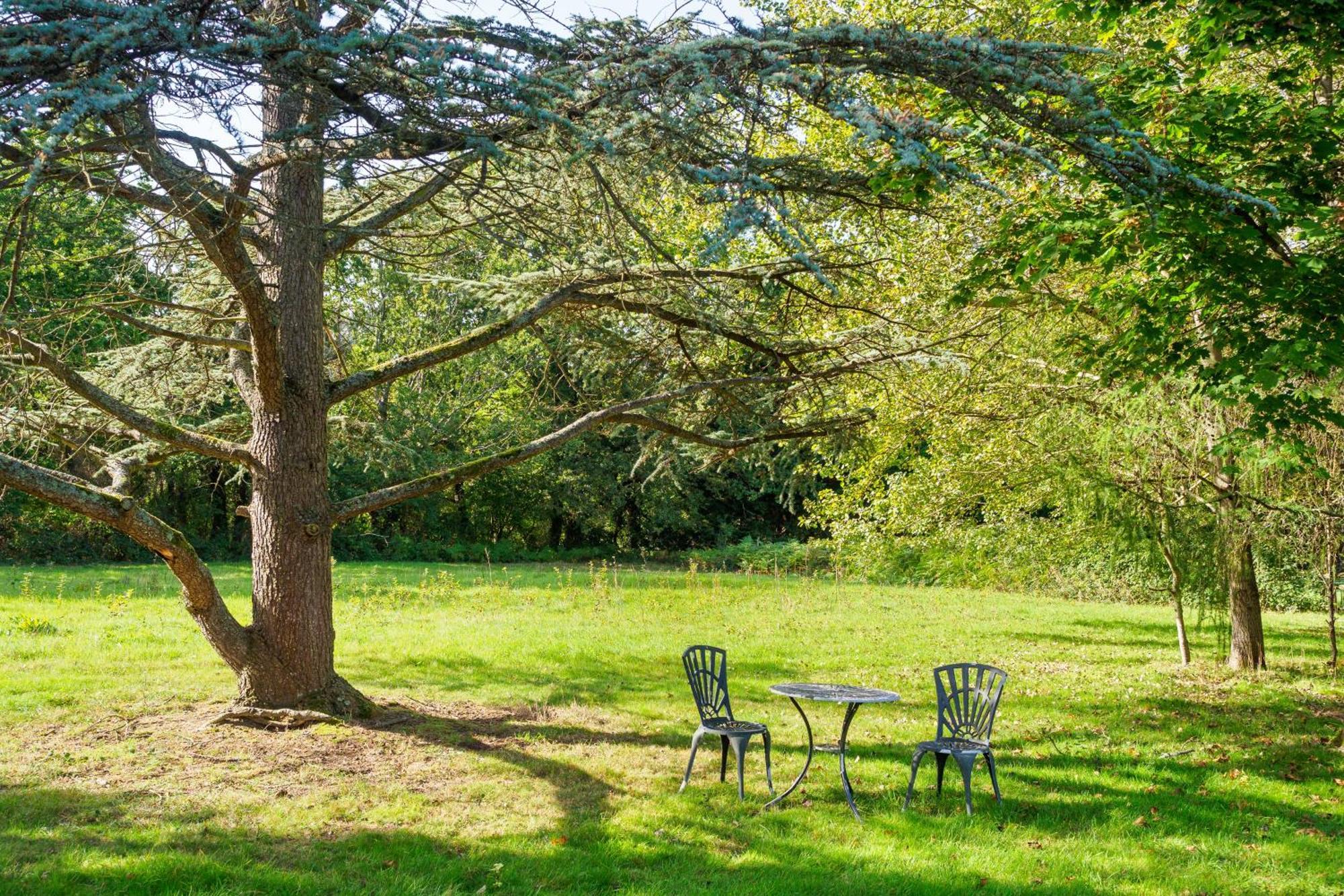 Country Cottage 2Br With Hot Tub And Tennis Court Chiddingly Екстериор снимка